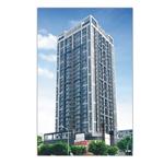 �麣����˳��